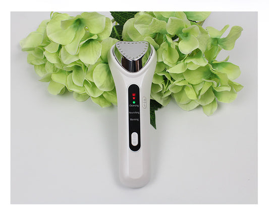 Electric Ultrasonic Facial Beauty Device