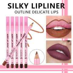 12 Color Matte Lipstick Lip Liner Suit